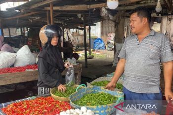 Harga cabai merah di Pekanbaru turun jadi Rp55 ribu per kilogram