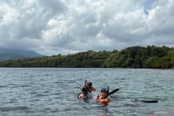 Liburan Impian di Pulau Menjangan: Deretan Kegiatan Seru yang Bisa Dilakukan