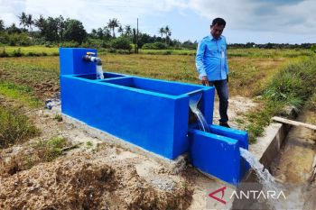 Pemkab Natuna kolaborasi dengan BWSS tingkatkan produksi padi