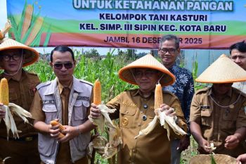 Pemkot Jambi dorong pertanian perkotaan manfaatkan lahan tidur