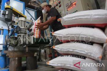 Alami peningkatan, Distan Maluku catat produksi beras daerah capai 51 ribu ton pada 2025