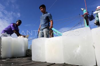 Nelayan keluhkan harga es di Abdya tembus Rp100 ribu per batang