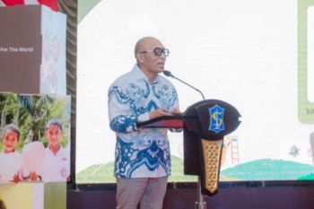 Ada 83 kasus DBD di Manggarai pada periode Januari-Oktober