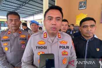 Tidak ada penebangan pohon di Aceh Barat pascabencana