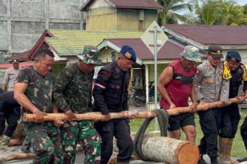 Brimob Polda Aceh dan TNI bangun jembatan darurat di Aceh Singkil