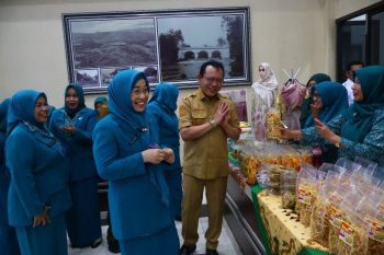 HKG PKK ke-53 momentum perkuat kader hingga tingkat dasa wisma