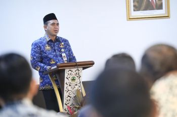 Pemprov Jateng: 452 desa telah didampingi OPD