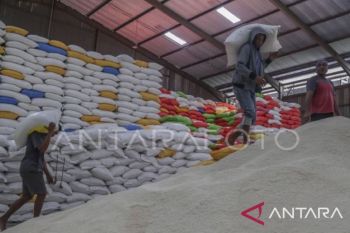 Dijamin aman, Pemprov Maluku pastikan 40 ribu ton beras tersedia hingga April 2026