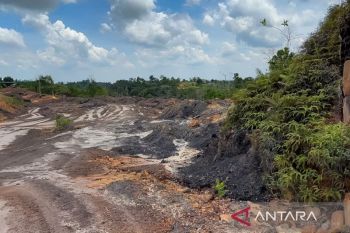 Otorita perkuat pengendalianaktivitas ilegal di IKN