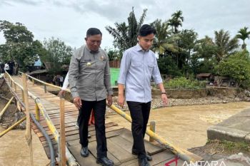 Gibran seberangi jembatan kayu sementara Aih Boboh di Gayo Lues Aceh