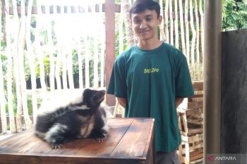 Bali Zoo hadirkan wahana baru spesial tahun baru