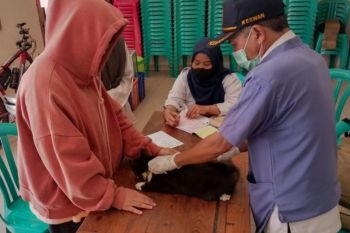 Sudin KPKP Jakarta Barat kembali vaksinasi 93 hewan penular rabies