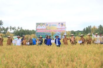 Donggala surplus beras hingga 3.346 ton tahun 2025