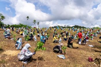 Komunitas Nol Sampah dukung program penghijauan di Sumbawa