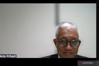 Kemendes: Penting pemanfaatan pekarangan untuk hasilkan pangan bergizi bagi keluarga