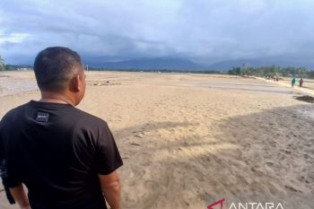Warga Pijay harap pemerintah pulihkan sawah yang tertimbun lumpur banjir
