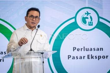 Mendag sebut konsumsi masih jadi penopang pertumbuhan ekonomi