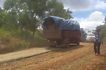 Koalisi desak BKSDA hentikan MoU demi selamatkan gajah di Bengkulu