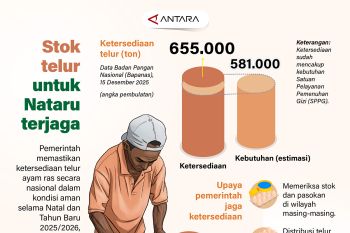 Stok telur untuk Nataru terjaga