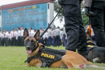 Polda NTB mengantisipasi peredaran narkoba jelang akhir tahun 2025
