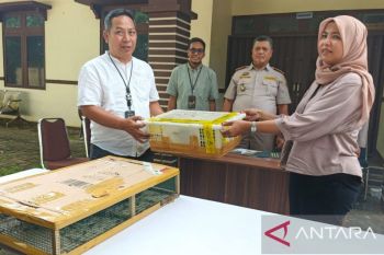 Karantina Kalbar gagalkan pengiriman ilegal 700 burung