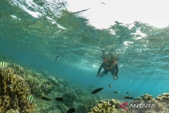 Jakarta bersiap jadi tuan rumah pameran wisata bahari nasional