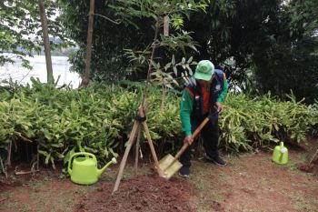 FPP DKI sedekah pohon untuk mitigasi perubahan iklim