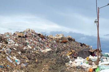 Mencari solusi pengelolaan sampah di Makassar, suara hati pekerja TPA Antang