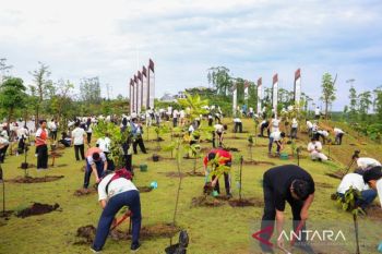 Otorita tegaskan pengembangan IKN berpijak pada kekuatan alam