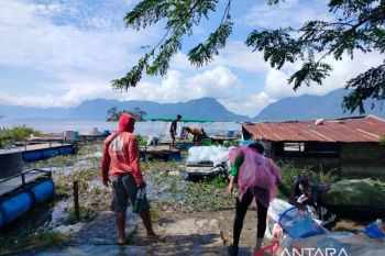 Kematian ikan di Danau Maninjau capai 1.428,73 ton dampak bencana hidrometeorologi