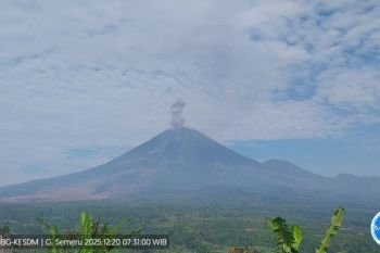 Gunung Semeru kembali erupsi dengan letusan setinggi 1.000 meter pada Sabtu pagi