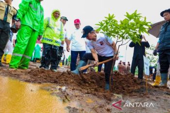 Walkot Bogor tanam pohon bersama Forest For Life