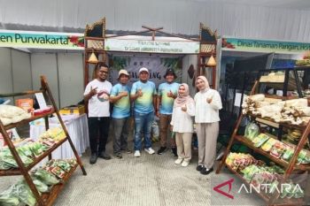 Purwakarta Juara 3 Stand Terbaik di Festival Hortikultura Jabar 2025