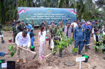 Pemerintah relokasi masyarakat dari Taman Nasional Tesso Nilo untuk kembalikan fungsi lahan