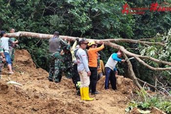 384 KK terdampak longsor di Leppangeng Sidrap