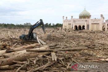 Indonesia speeds up driftwood removal after Sumatra floods