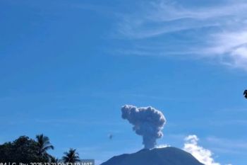 Gunung Ibu erupsi lontarkan abu setinggi hingga 600 meter