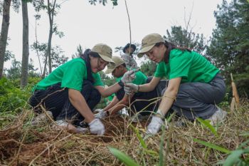 Nestle Indonesia tanam 1.000 pohon di Jateng dukung keberlanjutan lingkungan