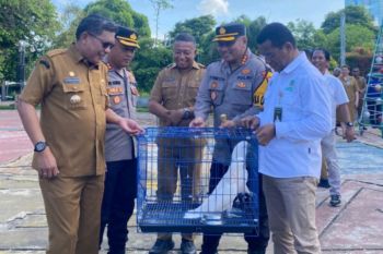 Dikukuhkan Wali Kota, Pemkot Ambon bentuk Satgas PPTSL perkuat perlindungan lingkungan hidup