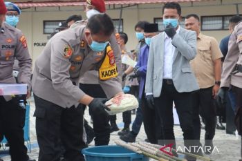 Polres Lamsel musnahkan barang bukti narkoba senilai Rp230 miliar