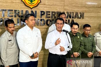 Mentan/Kabapanas tegaskan usut tuntas pengusaha yang jual Minyakita di atas HET