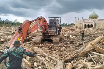 Wamenhut pastikan upaya kolaborasi percepatan pembersihan kayu terseret banjir Sumatera
