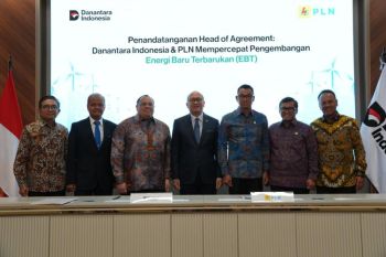 Danantara dan PLN jajaki peluang investasi energi baru terbarukan