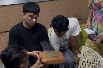 Polresta Kendari bekuk dua penyelundup ganja 1 kilogram di Mandonga