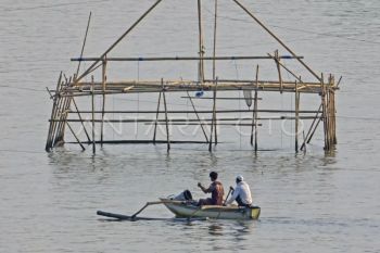 Ketika pertanian dan kelautan bertaut