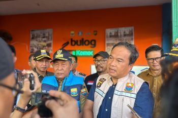 Bulog Jambi pastikan kebutuhan pangan terpenuhi selama Nataru