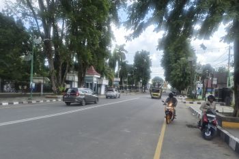 Program pemutihan pajak di Jambi tembus Rp64,1 miliar lebihi target