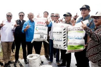 KKP menyiapkan distribusikan pupuk bersubsidi sektor perikanan di awal 2026