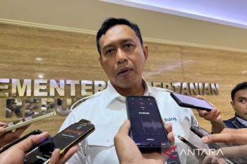 Bulog: 35 persen Minyakita disalurkan langsung ke pedagang