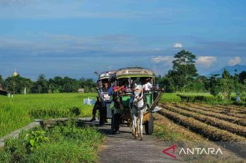 Desa wisata yang menarik untuk dikunjungi saat liburan akhir tahun